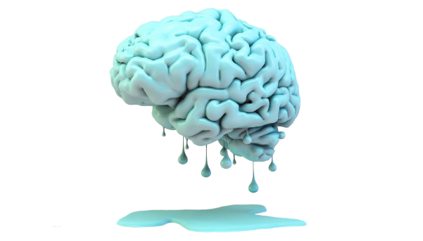 brain